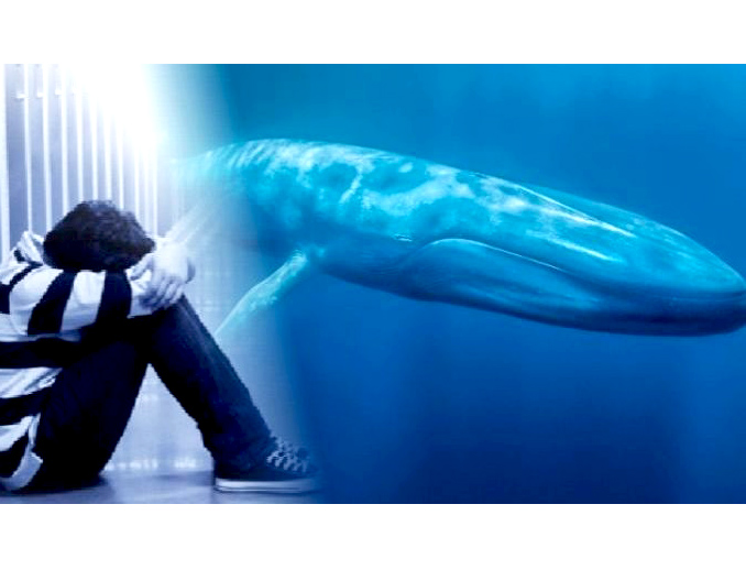 Jogo Baleia Azul: Eu tentei jogar o Blue Whale de suicídio e o resultado é  surpreendente